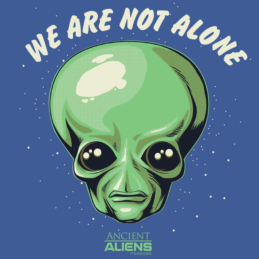 Ancient Aliens We are Not Alone Men's Tri-Blend Short Sleeve T-Shirt