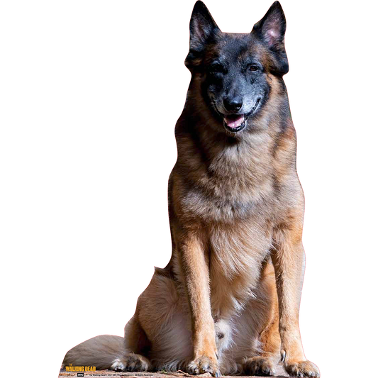 The Walking Dead Dog Cardboard Cut Out Standee