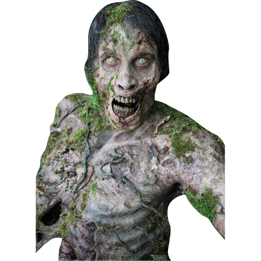 The Walking Dead Walker 03 WallJammer Wall Decal