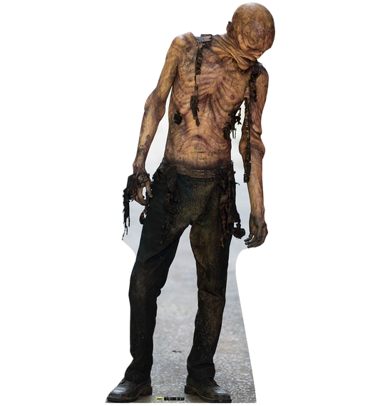 The Walking Dead Walker 03 Cardboard Cut Out Standee-0