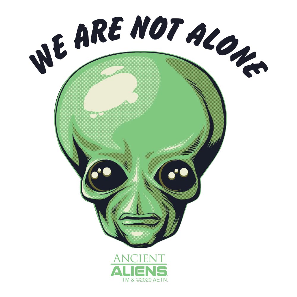 Ancient Aliens We are Not Alone Apron - With Pockets