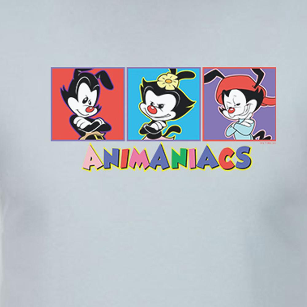 Animaniacs 3 Square Adult Short Sleeve T-Shirt