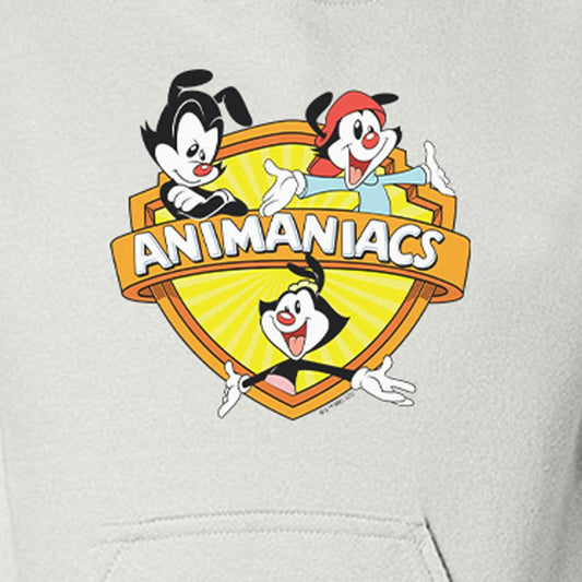 Animaniacs Shield Kids Hooded Sweatshirt-1