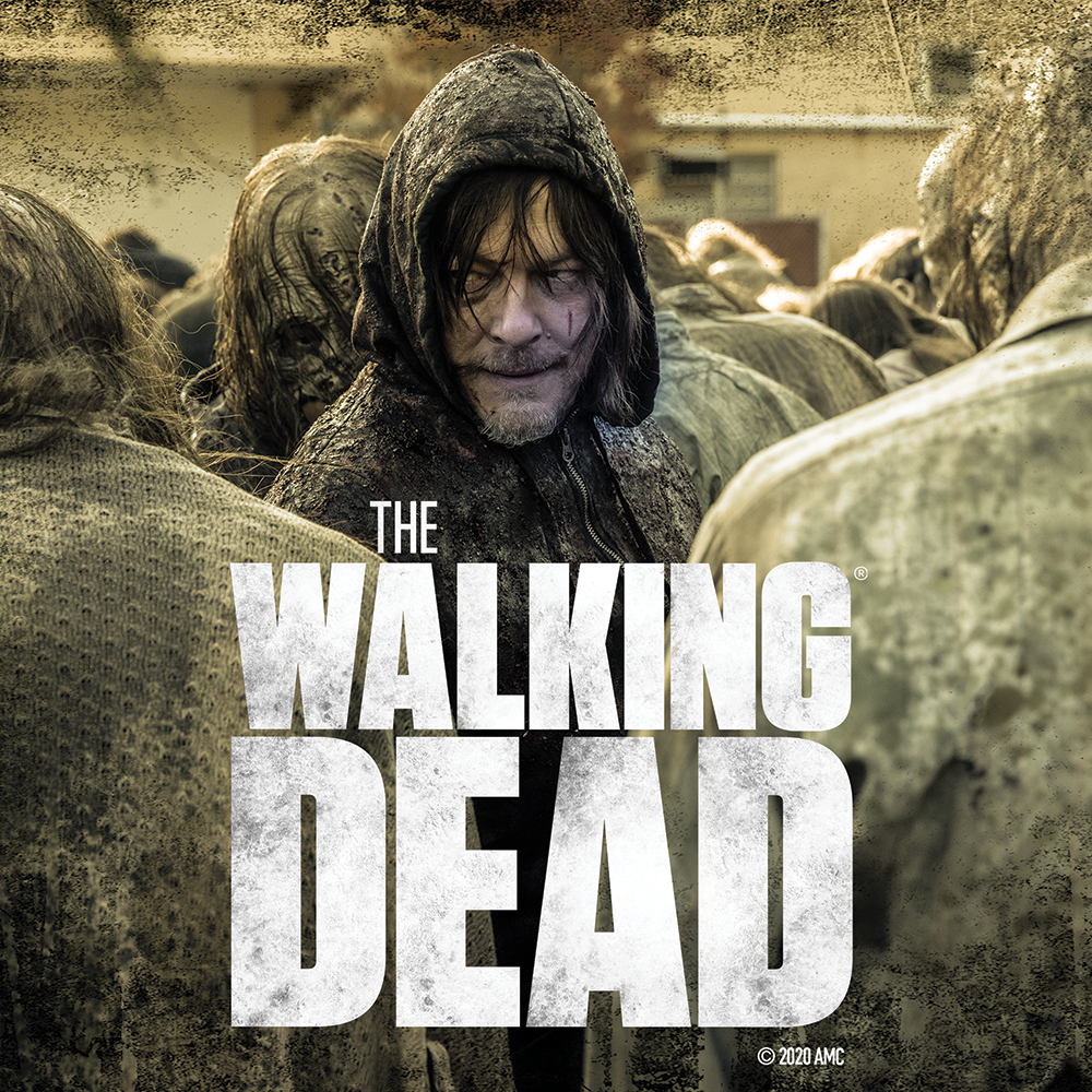 The Walking Dead Daryl Season 10 Premium Satin Poster