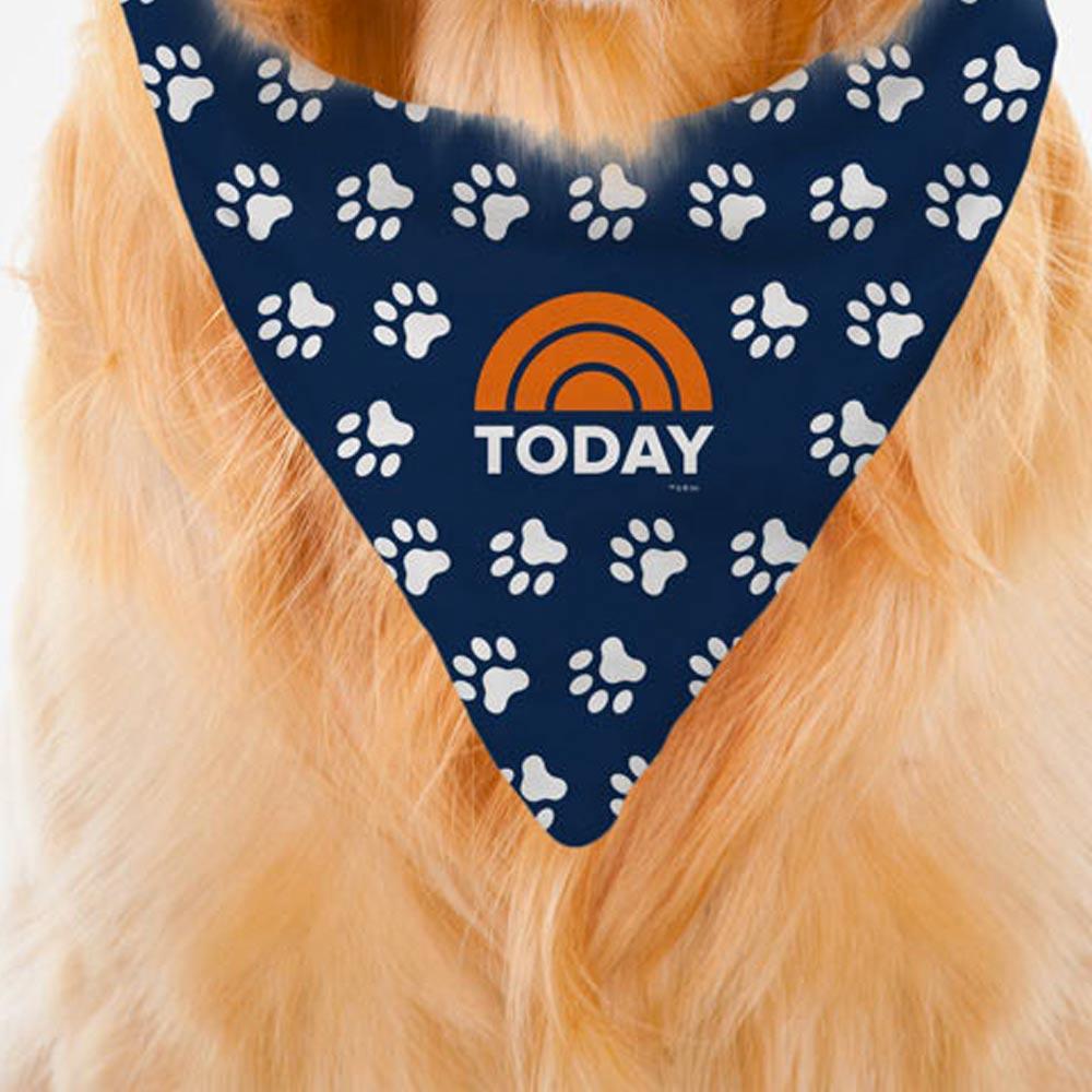 TODAY Pet Bandana