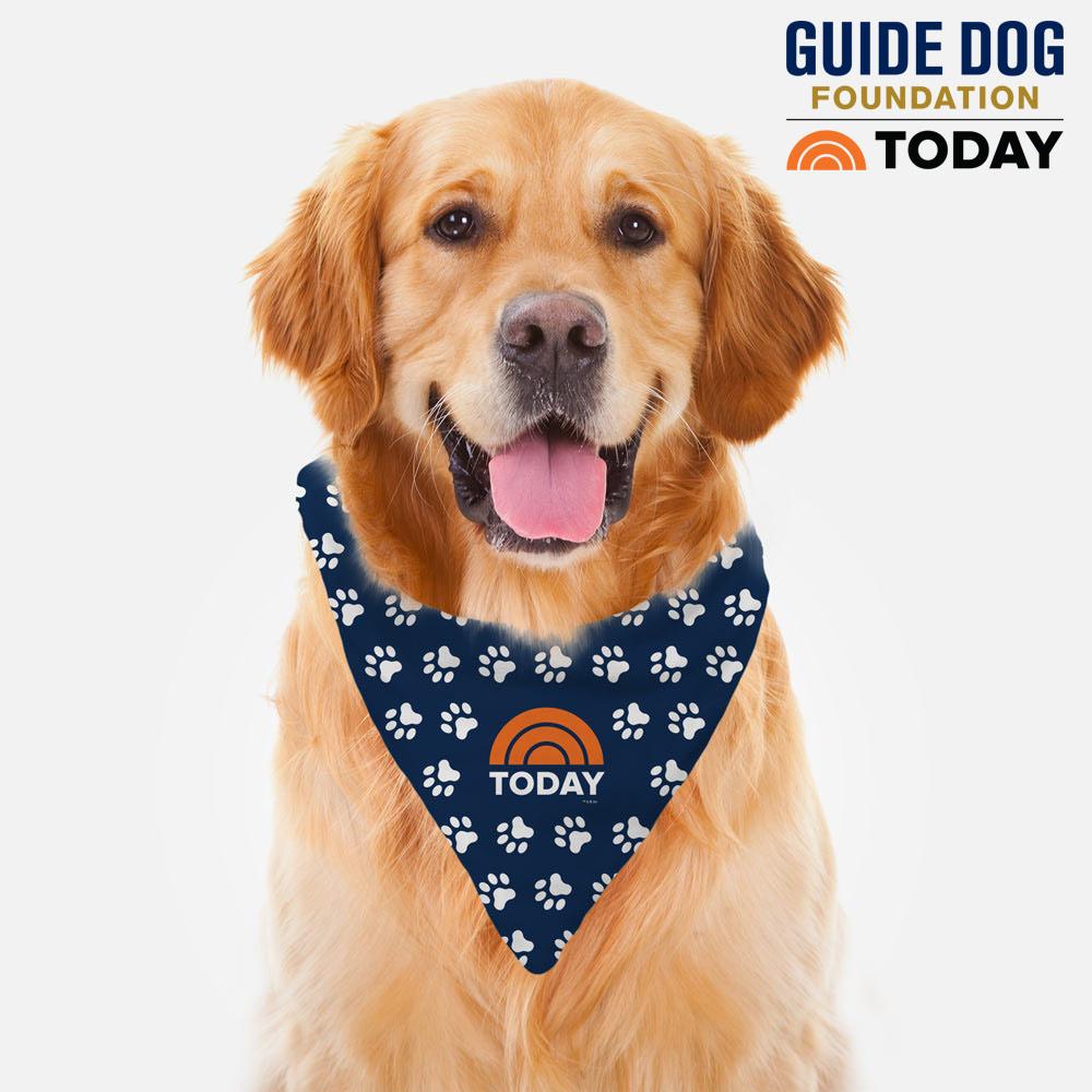 TODAY Pet Bandana