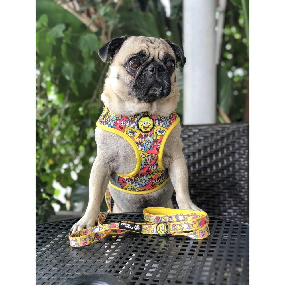 Spongebob X Fresh Pawz - SB & Friends | Adjustable Mesh Harness - SpongeBob SquarePants Official Shop