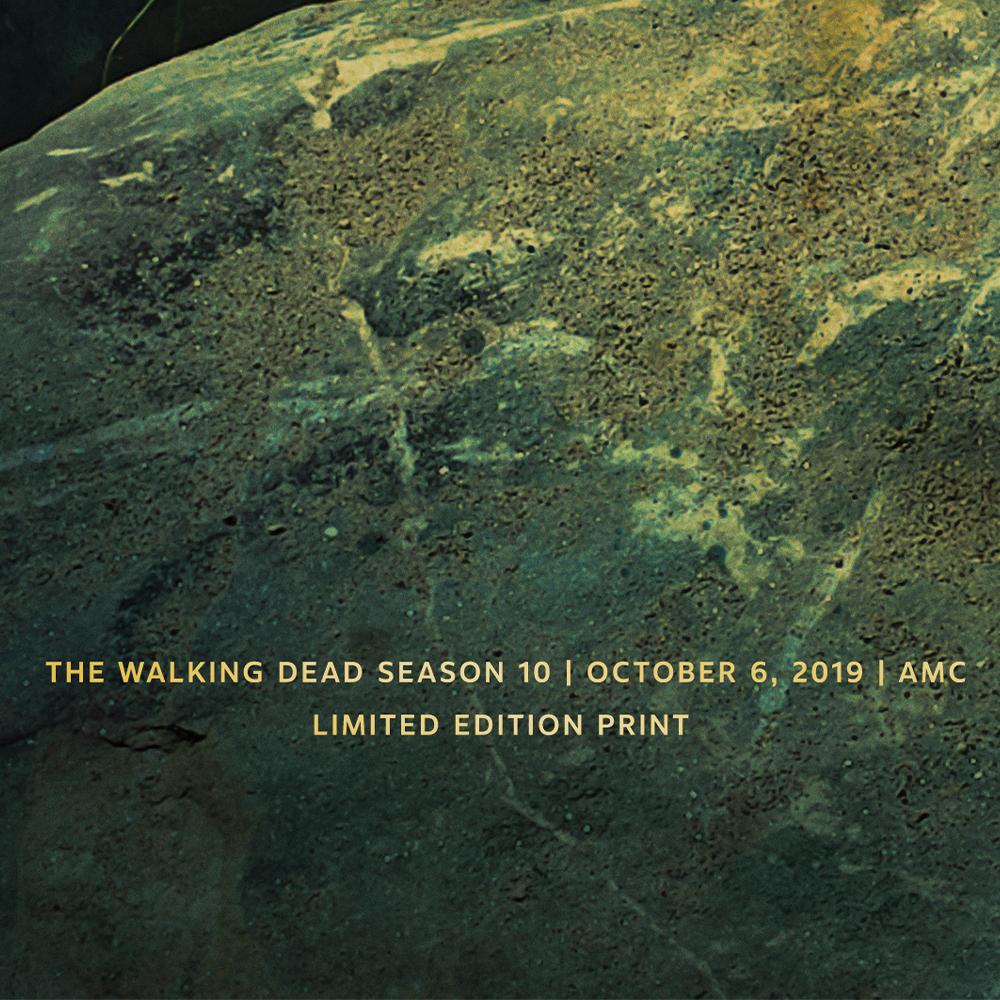 The Walking Dead Season 10 Fan Horde Poster