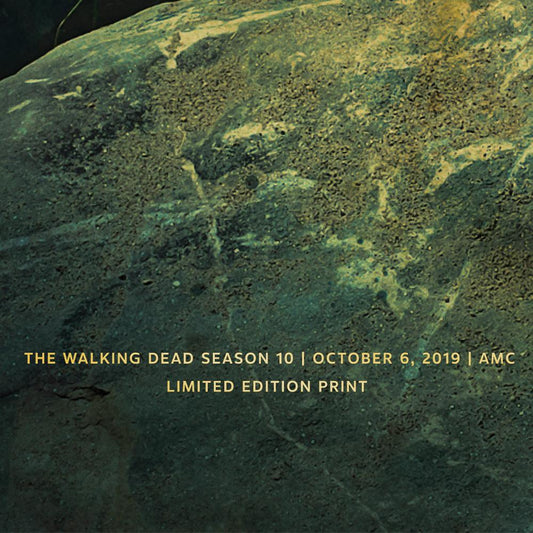 The Walking Dead Season 10 Fan Horde Poster-1